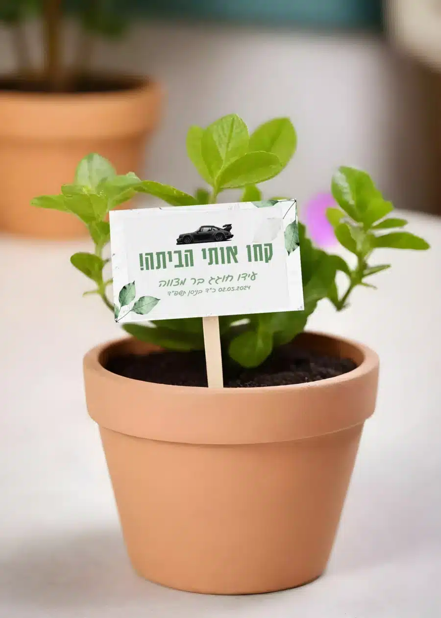 כרטיס על שיפוד דגם מכונית ספורט